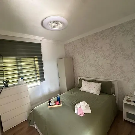 B&B Mayi Gc *