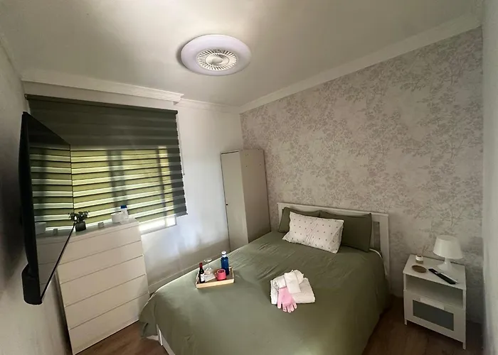 B&B Mayi Gc *